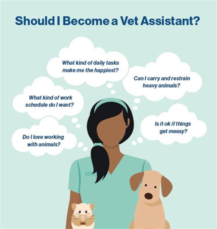 At what age can you be a vet assistant?