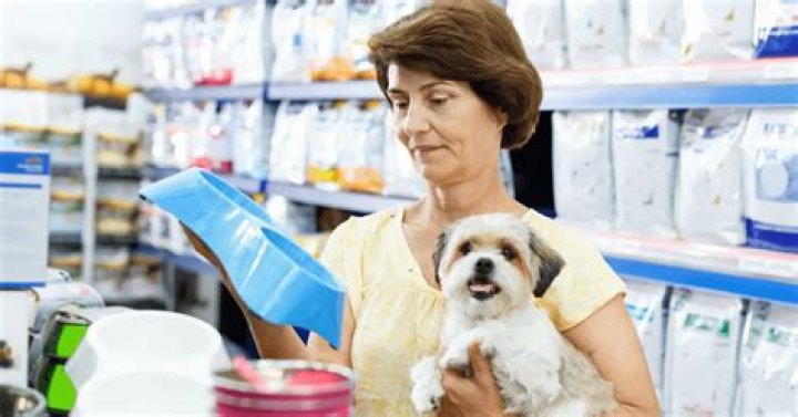 Do pet shops need a license?