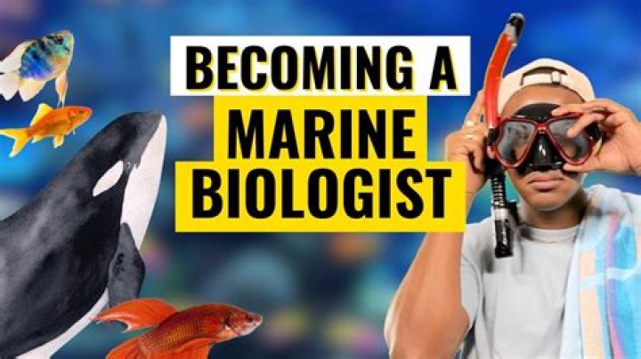 How can I become a marine biologist without a degree?