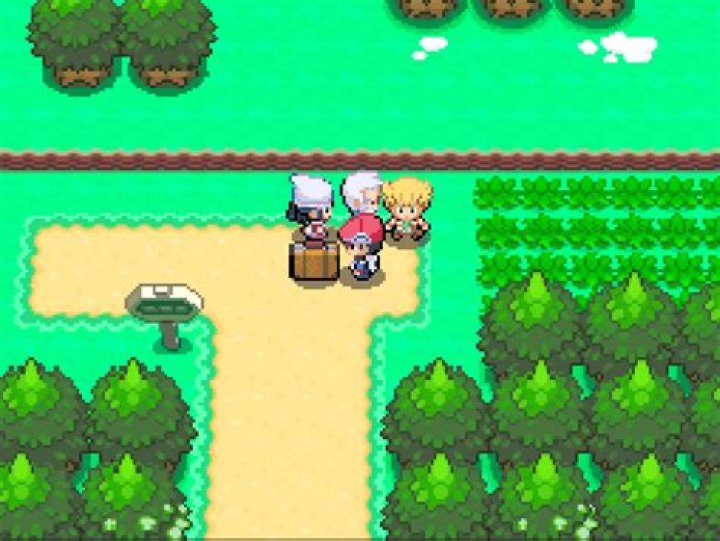 How do you get rich in pokemon diamond?