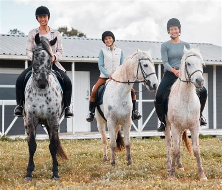 Is 11 too old to start horse riding?