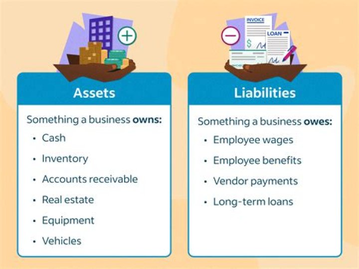Is preliminary expenses asset or liability?