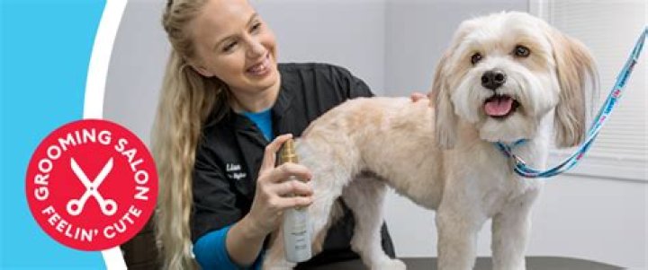 What age does PetSmart hire in Tennessee?