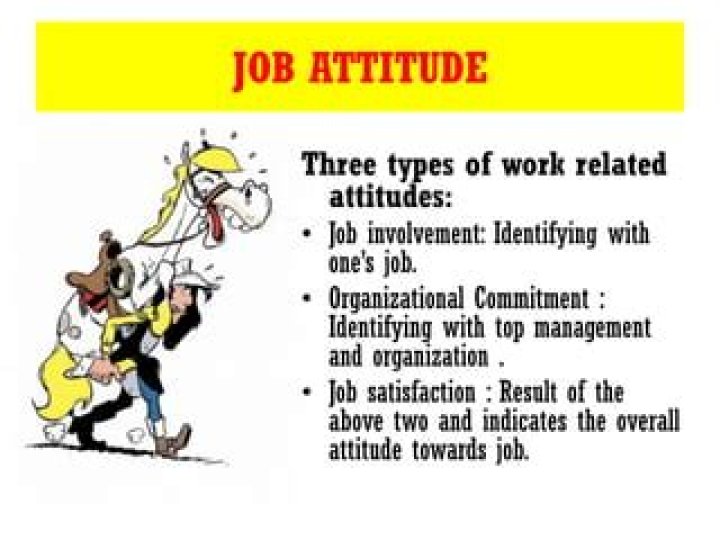 What are the three work related attitudes?