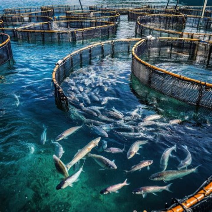 What career works with fish?
