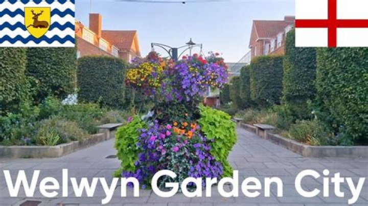 What companies are in Welwyn Garden City?