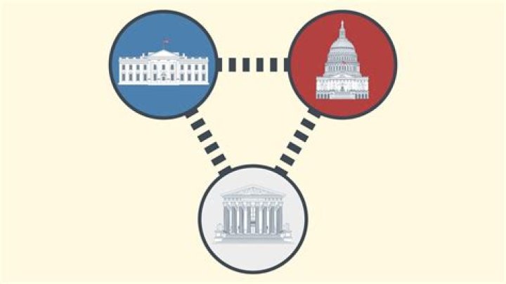What does separation of ownership from control mean?