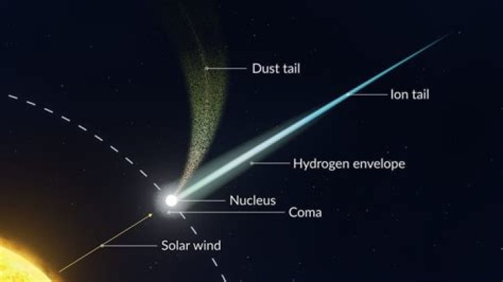 What is a short term comet?
