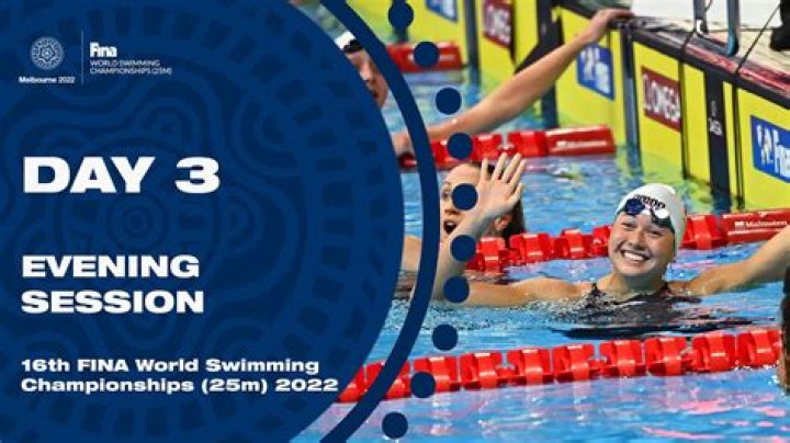 What is FINA swimming?