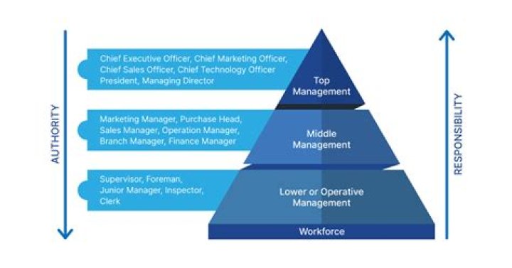 Which is higher executive or manager?