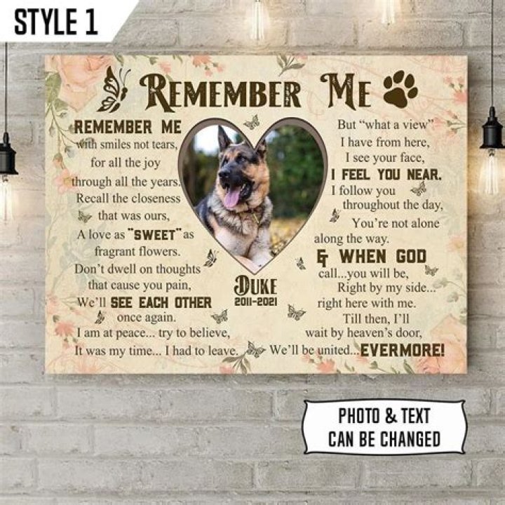 Will my dog forget me after a month?